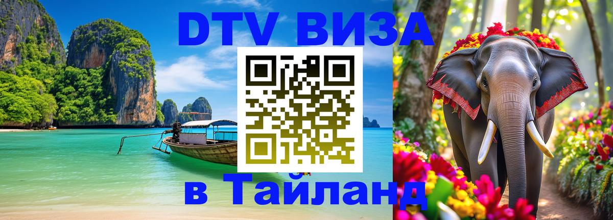 Сколько стоит DTV виза — актуальные цены, оформление даже без документов - 